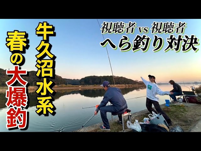 春爆の牛久沼水系!視聴者同士でへらぶな釣りバトルをさせたら爆釣しすぎた【稲荷川】