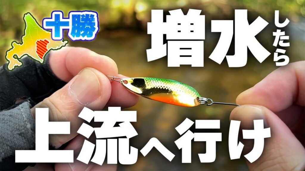 川めっちゃ増水で濁ってる！？そんな時は…【北海道渓流釣り】