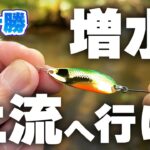 川めっちゃ増水で濁ってる！？そんな時は…【北海道渓流釣り】