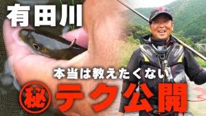 オトリ鮎の元気がない時はコレをして下さい。※㊙テクです