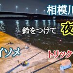 【平塚 相模川河口】鈴をつけて夜釣り ちょい投げ 、トリックサビキ 五目釣り