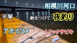 【平塚 相模川河口】鈴をつけて夜釣り ちょい投げ 、トリックサビキ 五目釣り