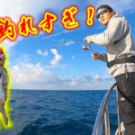 山口県の海が最高に釣れすぎて楽しすぎた！！
