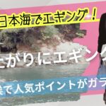 京都日本海でエギングに挑戦！雨上がりってどうなの？