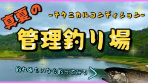 【管釣りトラウト】夏真っ盛り！テクニカルコンディション中の管理釣り場