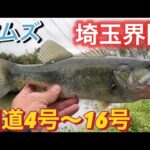 【埼玉バス釣り】元荒川 幸手放水路 バス釣り調査！！！ おかっぱり