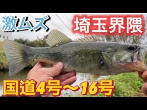 【埼玉バス釣り】元荒川 幸手放水路 バス釣り調査!!! おかっぱり