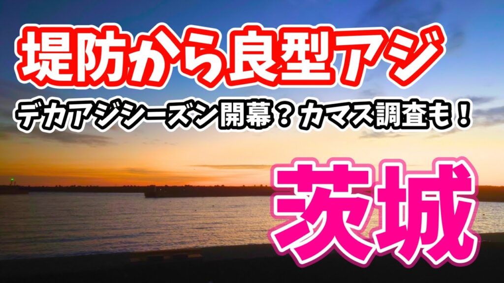 茨城県にある尺アジが釣れる堤防で良型アジ！シーズン開幕？カマス調査もしてみた