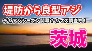 茨城県にある尺アジが釣れる堤防で良型アジ！シーズン開幕？カマス調査もしてみた