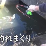 怪物を釣りまくり！！
