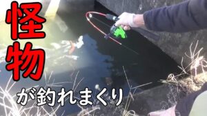 怪物を釣りまくり!!