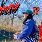 北海道の川でイトウ釣りしてたら熊に吠えられた！【道東湿原河川】