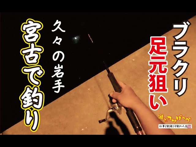 【ロックフィッシュ】宮古でブラクリ足元狙い釣り! #ライトゲーム #海釣り #岩手釣り #ロックフィッシュ