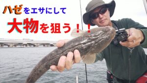 【浜名湖】浜名湖伝統釣法　ハゼを泳がせた弁天流し釣り！