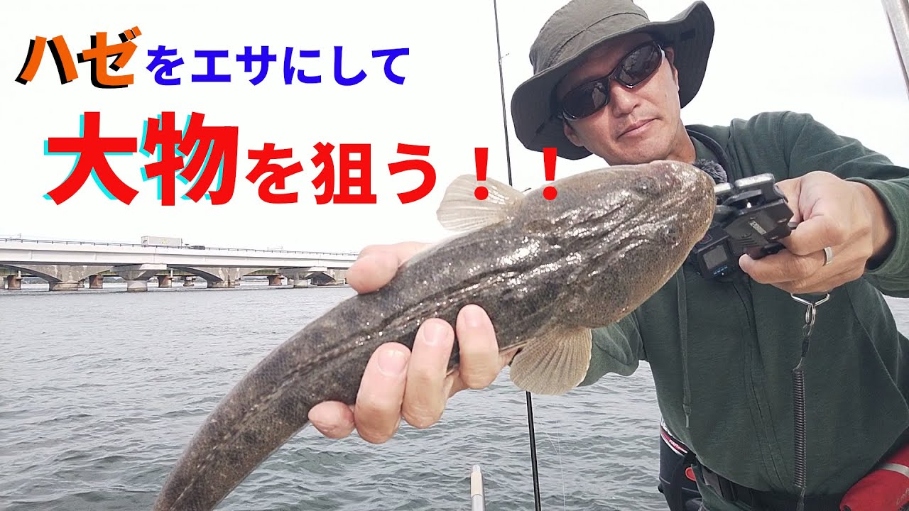 【浜名湖】浜名湖伝統釣法 ハゼを泳がせた弁天流し釣り!