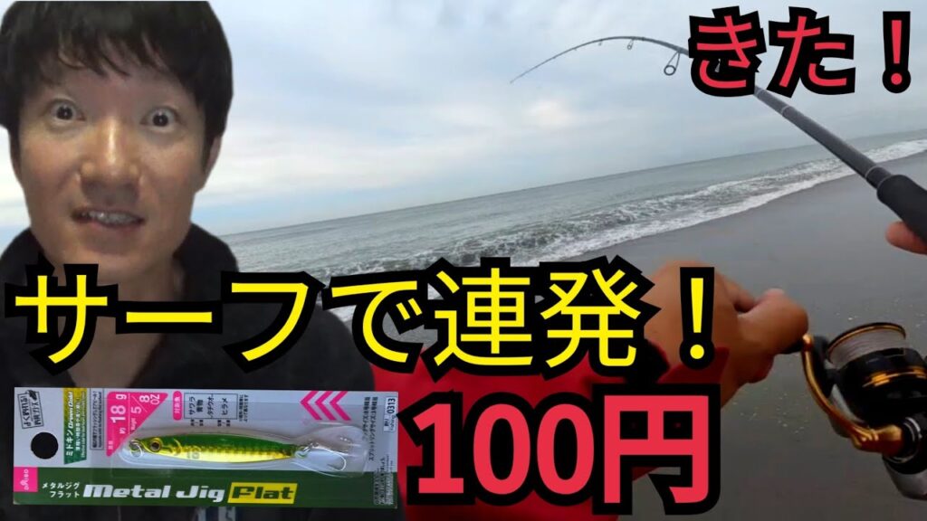 【神コスパ】遠州灘サーフで検証！ダイソージグだけで連発！【激ウマ刺し身】