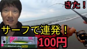 【神コスパ】遠州灘サーフで検証!ダイソージグだけで連発!【激ウマ刺し身】