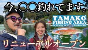 【管釣り】最新情報‼︎リニューアルした多摩湖駅前フィッシングエリアがヤバい。