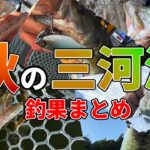 【三河湖】秋は色んなルアーが釣れる！ただし...  【バス釣り】