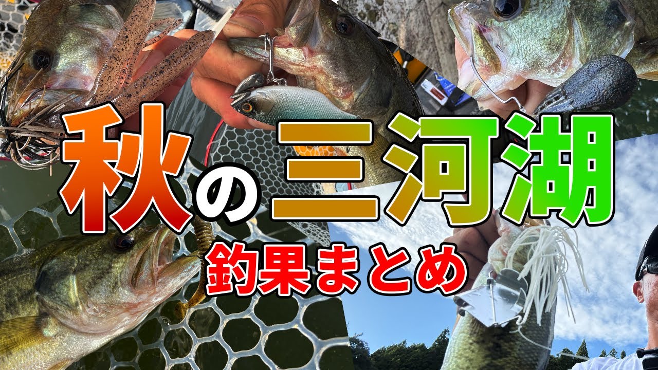 【三河湖】秋は色んなルアーが釣れる!ただし... 【バス釣り】