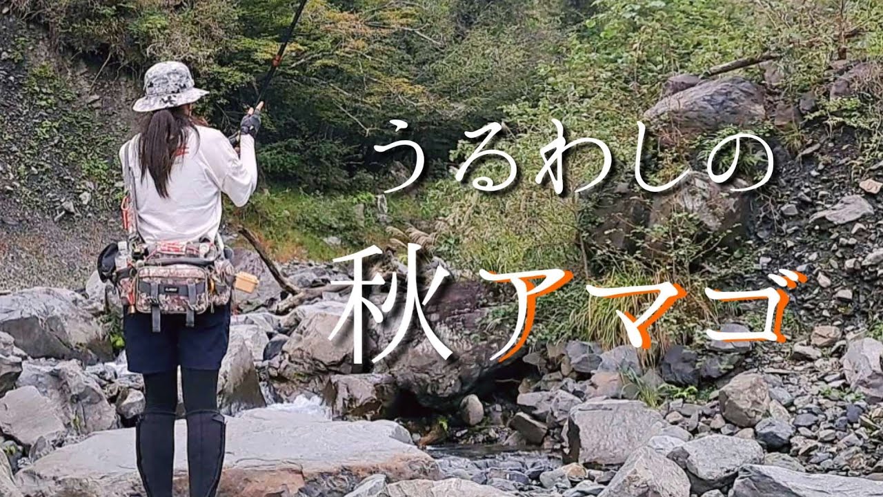 渓流釣りラスト釣行!輝くオレンジの極上アマゴ