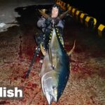 『釣り人の夢"堤防からキハダマグロをルアーで』