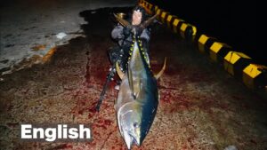 『釣り人の夢"堤防からキハダマグロをルアーで』