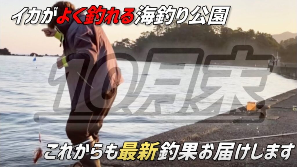 【ここはアオリ安定！】ヤエン釣り【若狭高浜海釣り公園はイカが濃い！】福井県