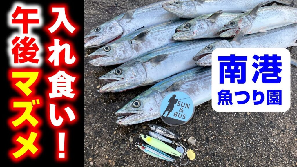 【南港魚つり園速報】午後時合いサゴシ入れ食い！（大阪湾ショアジギング）