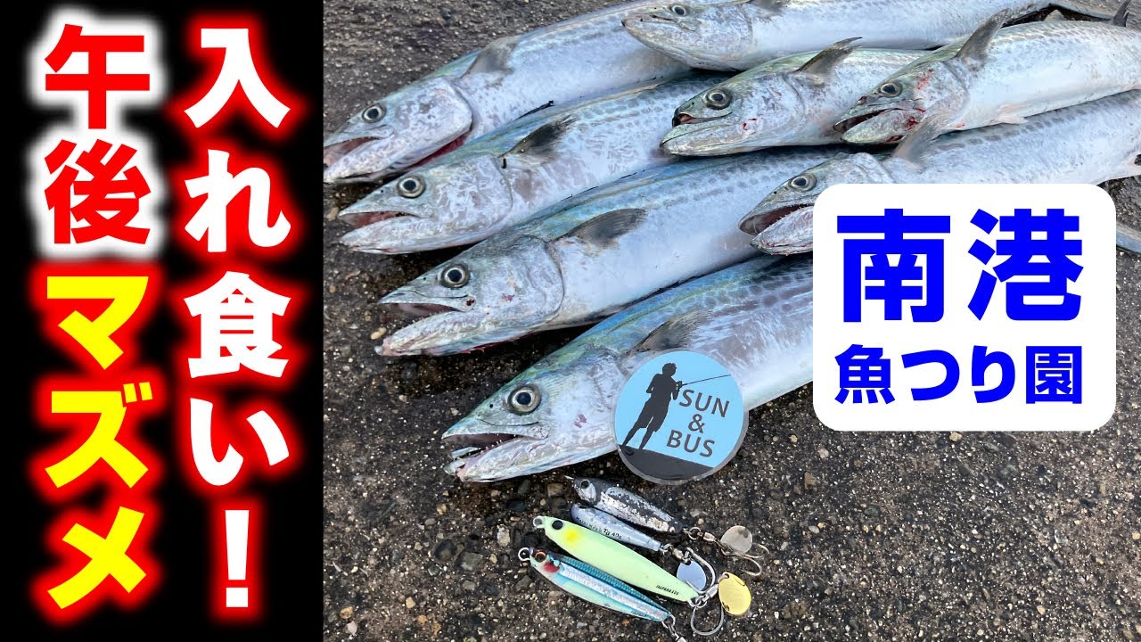 【南港魚つり園速報】午後時合いサゴシ入れ食い!(大阪湾ショアジギング)