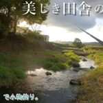 美しき田舎の風景とトノに癒されてきました♪   日の出町 平井川で小物釣り。
