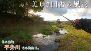 美しき田舎の風景とトノに癒されてきました♪   日の出町 平井川で小物釣り。