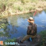 大物が連発するワンドは超楽しかったー！  こんな場所があるなんて！  羽村市 羽村の堰で小物釣り。