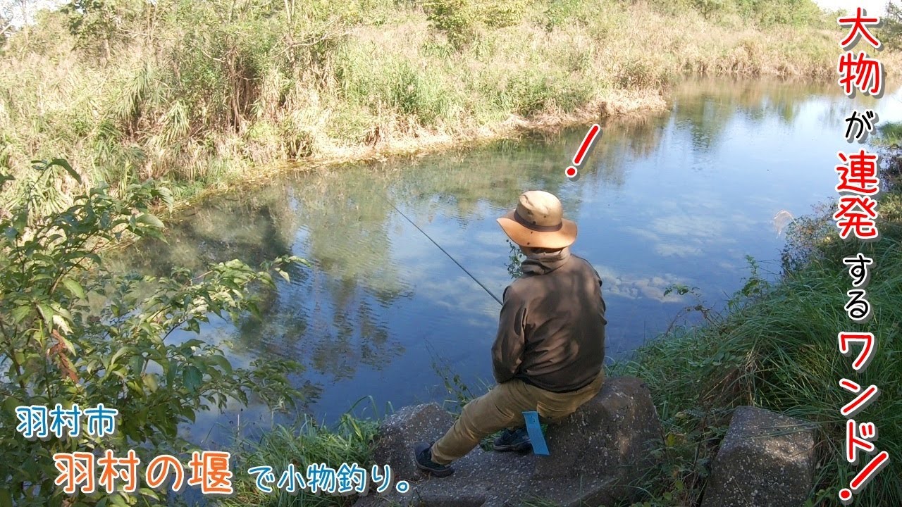 大物が連発するワンドは超楽しかったー! こんな場所があるなんて! 羽村市 羽村の堰で小物釣り。
