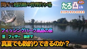 人気急上昇中の管理釣り場「高島の泉」は真夏でも釣れるのか？