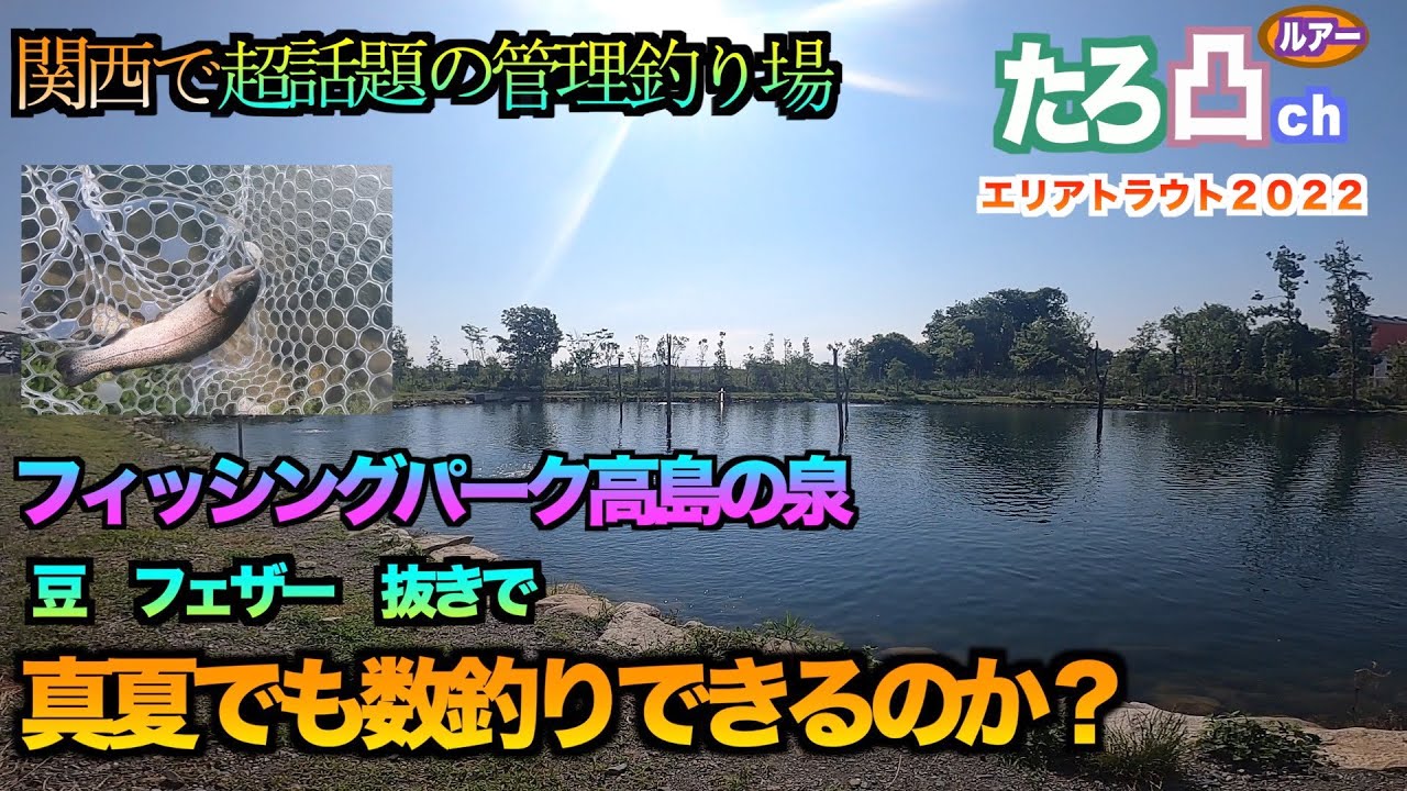 人気急上昇中の管理釣り場「高島の泉」は真夏でも釣れるのか?
