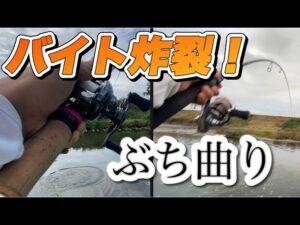 【バス釣り】食欲の秋 気温も水温も秋 おかっぱり 小貝川バス釣り