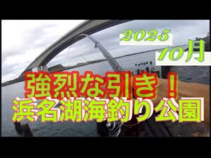 【浜名湖】海釣り公園 フカシ 調子バッグン 強烈 大物 爆釣