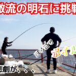 【神戸平磯海釣り公園】激流の明石でアジを泳がせたら凄かった！！　　　　　アジュール舞子　ショアジギング　釣り　武庫川一文字