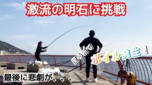 【神戸平磯海釣り公園】激流の明石でアジを泳がせたら凄かった!! アジュール舞子 ショアジギング 釣り 武庫川一文字