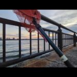 そろそろ浜名湖アノ大型魚の準備開始かな…🐟【浜名湖釣り】🎣