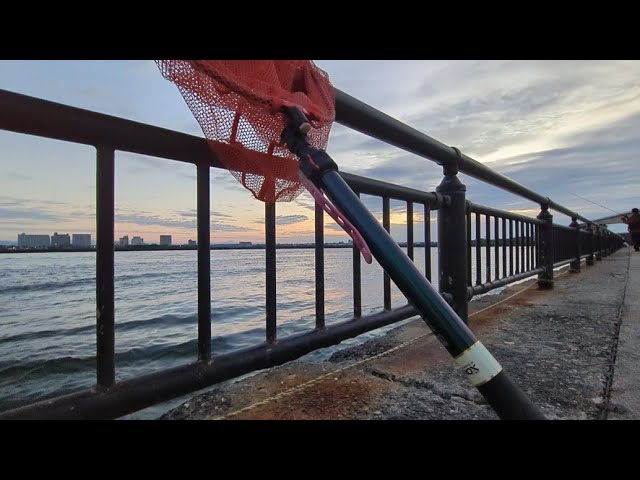 そろそろ浜名湖アノ大型魚の準備開始かな…🐟【浜名湖釣り】🎣