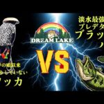 【運で爆釣】ブラックバスの管理釣り場で最強決定戦！　#ブラックバス　#ドリームレイク