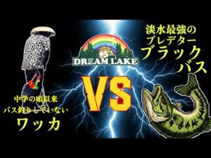 【運で爆釣】ブラックバスの管理釣り場で最強決定戦！　#ブラックバス　#ドリームレイク