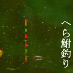 釣れそうで、釣れない、それもへら鮒釣り