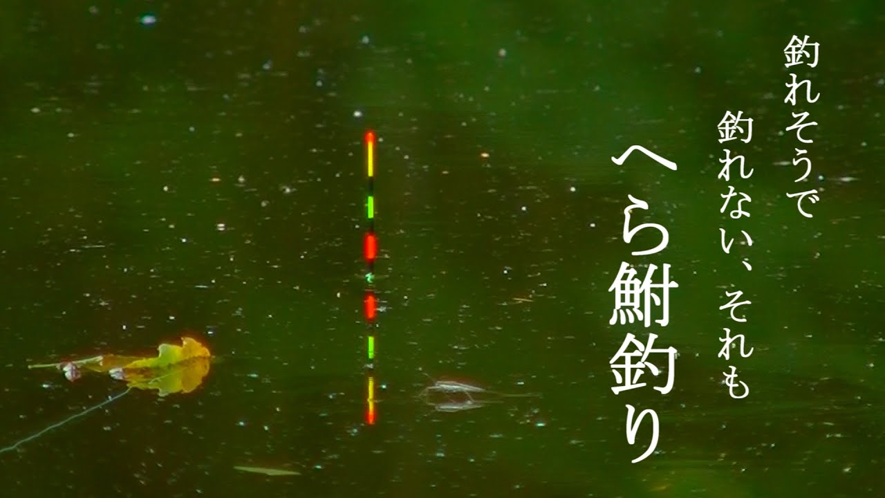 釣れそうで、釣れない、それもへら鮒釣り