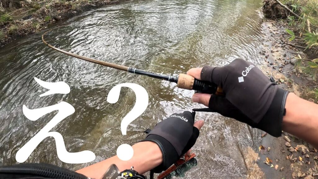 【渓流釣り】なんだこの魚は…