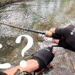 【渓流釣り】なんだこの魚は…