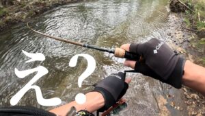【渓流釣り】なんだこの魚は…