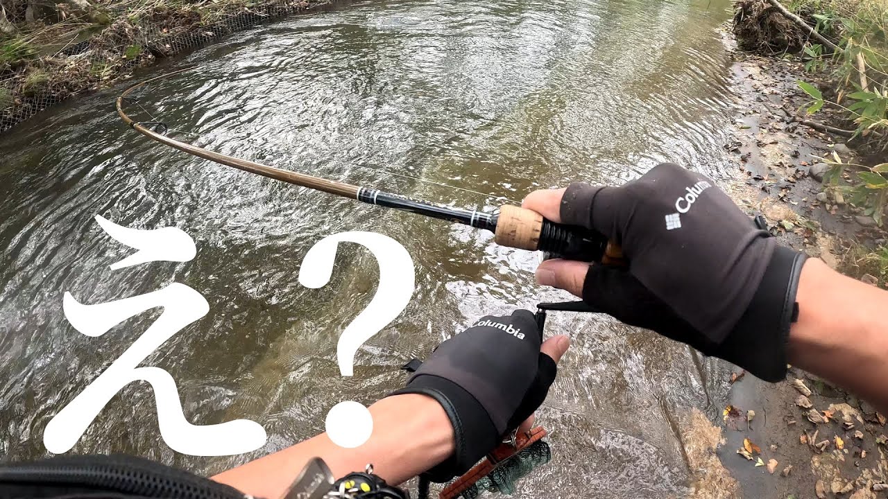 【渓流釣り】なんだこの魚は…